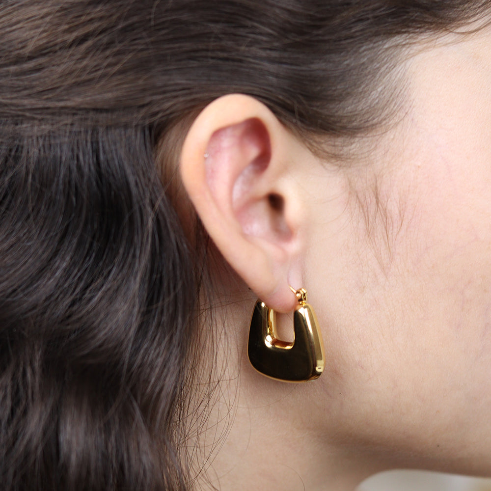 Stainless Steel Gold Plated Earrings #E10