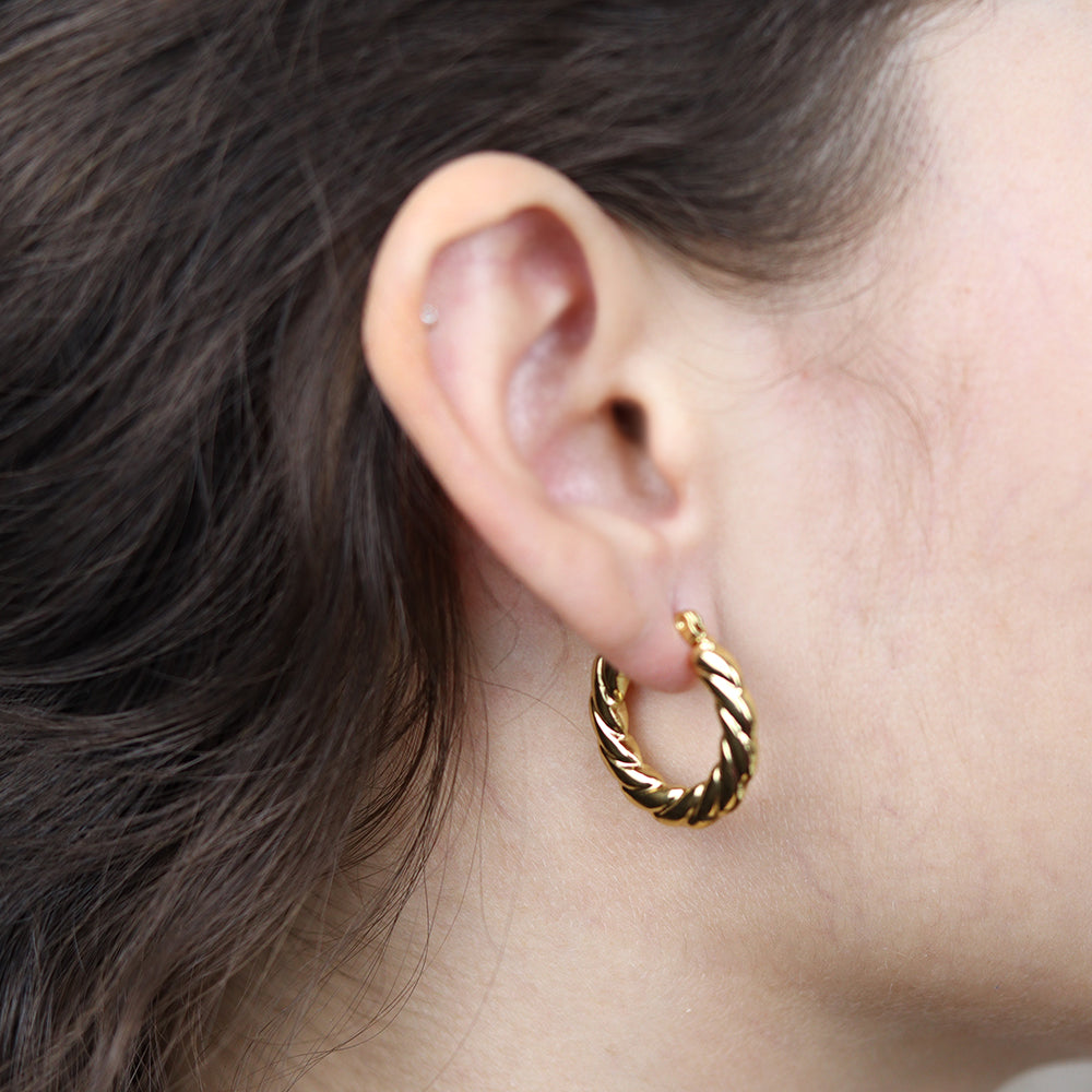 Stainless Steel Gold Plated Earrings #E14