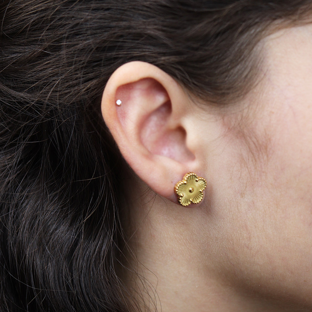 Stainless Steel Gold Plated Earrings #E17