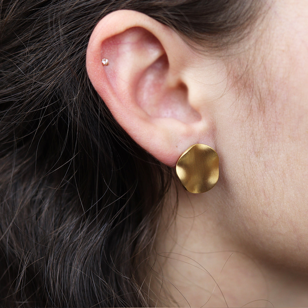 Stainless Steel Gold Plated Earrings #E2