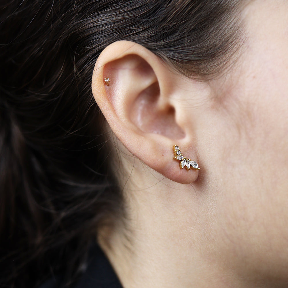 Stainless Steel Gold Plated Earrings #E29