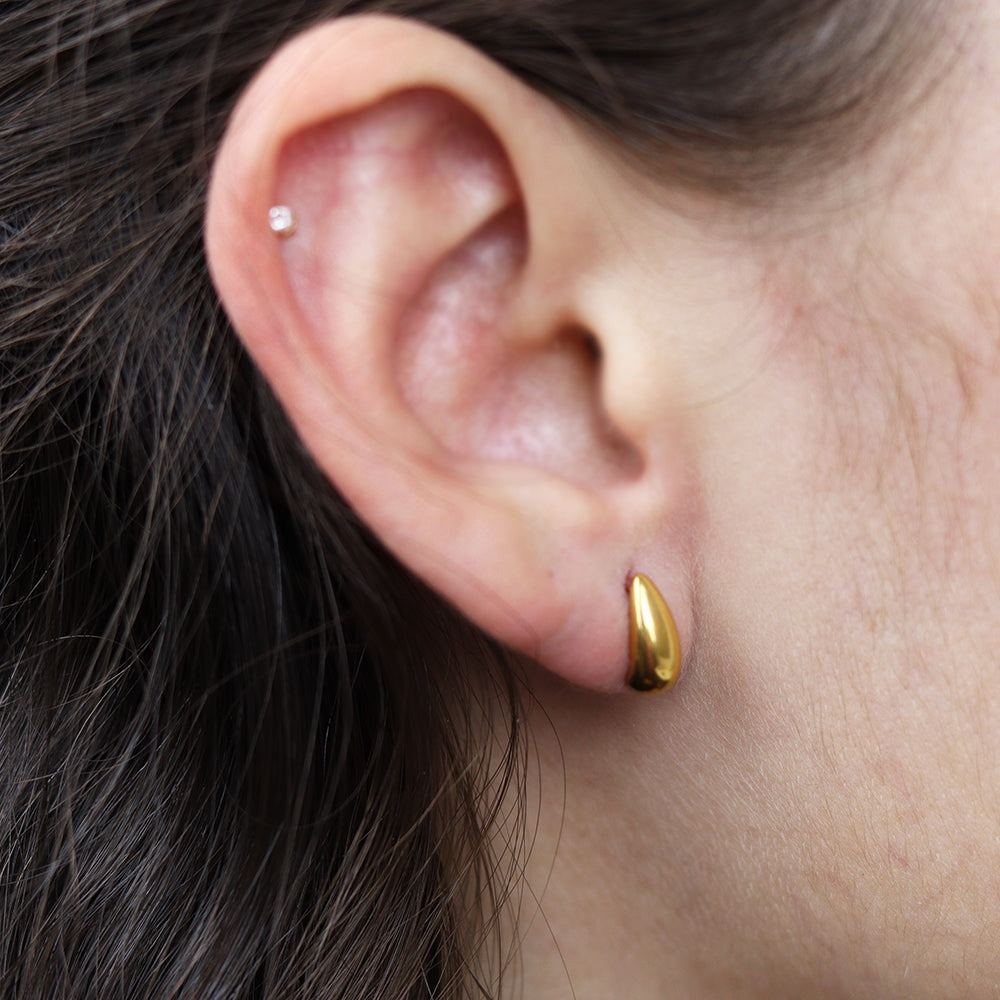 Stainless Steel Gold Plated Earrings #E6