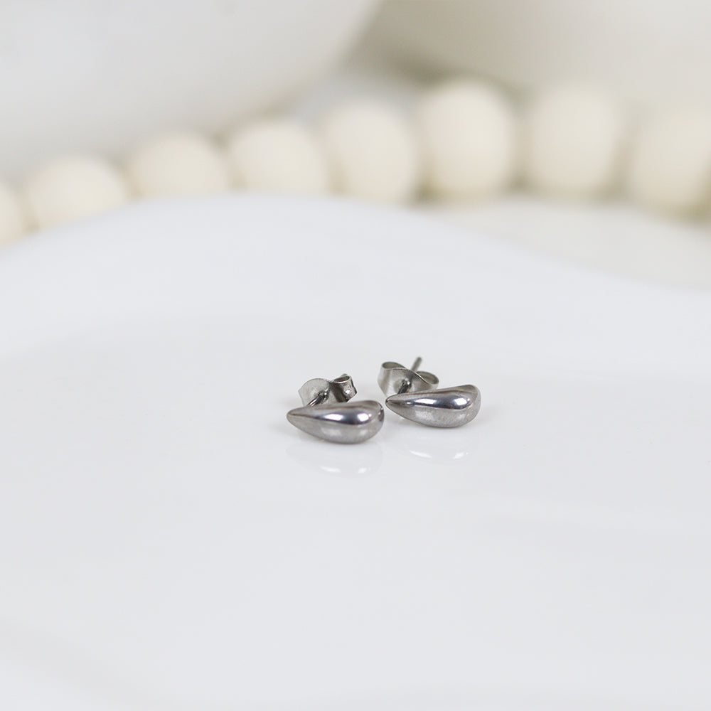 Stainless Steel Silver Plated Earrings #E7