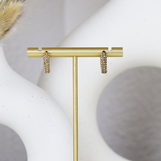 Stainless Steel Gold Plated Earrings #E45