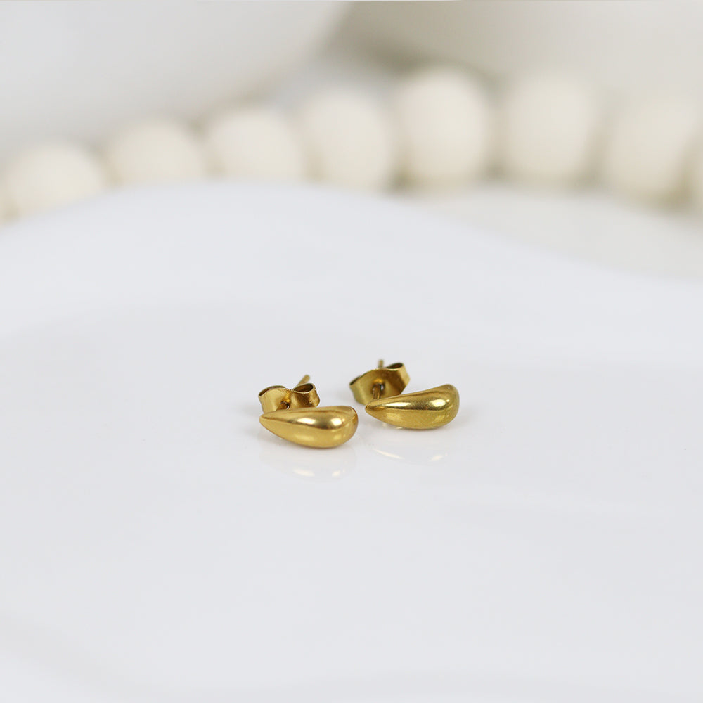 Stainless Steel Gold Plated Earrings #E6