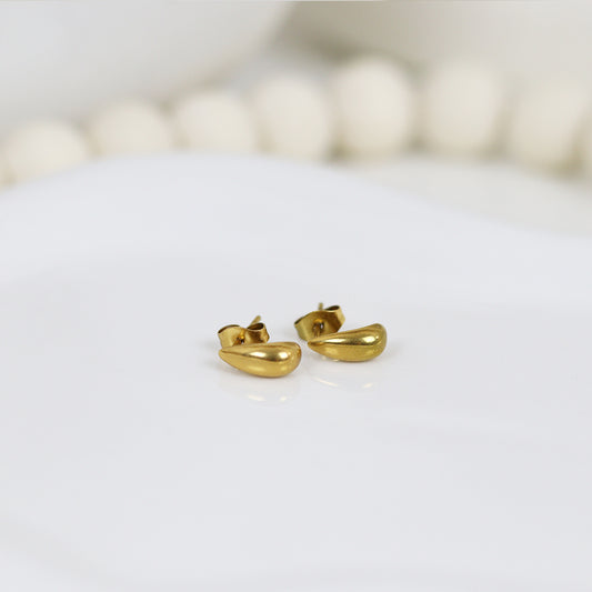 Stainless Steel Gold Plated Earrings #E6